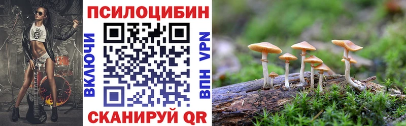 что такое Агрыз OMG как войти Псилоцибиновые грибы GOLDEN TEACHER